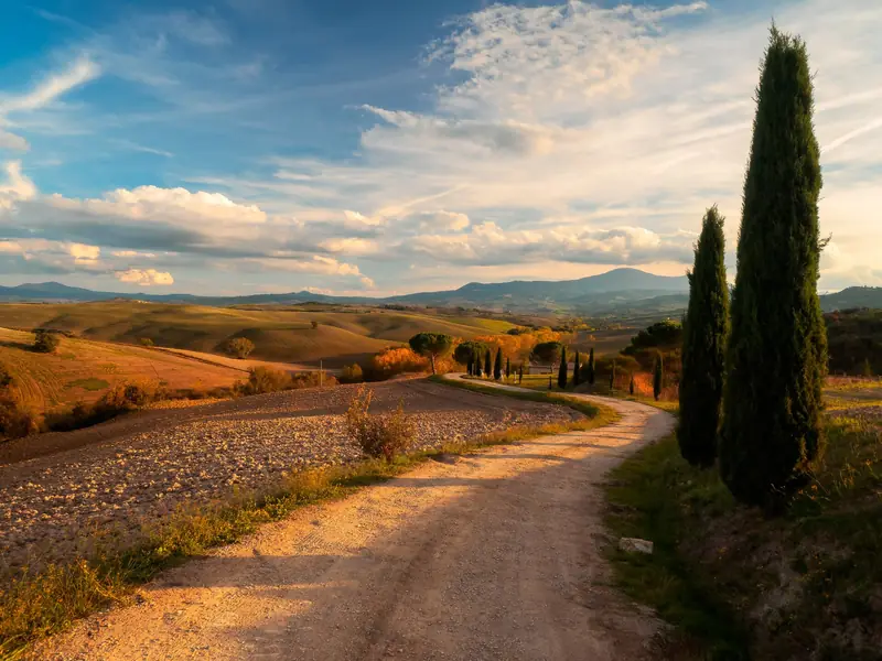 Colline e strade bianche della Val d'Orcia in autunno